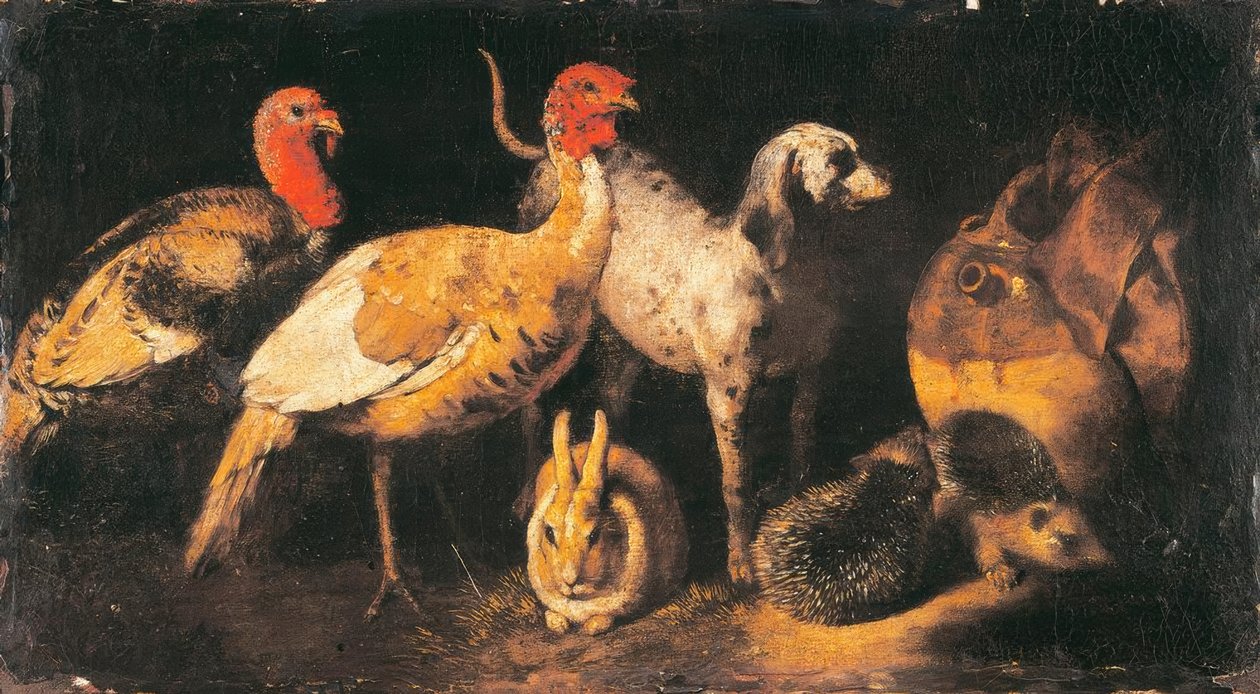 Kalkunhøns, hunde, kaniner og pindsvin af Antonio Maria Vassallo