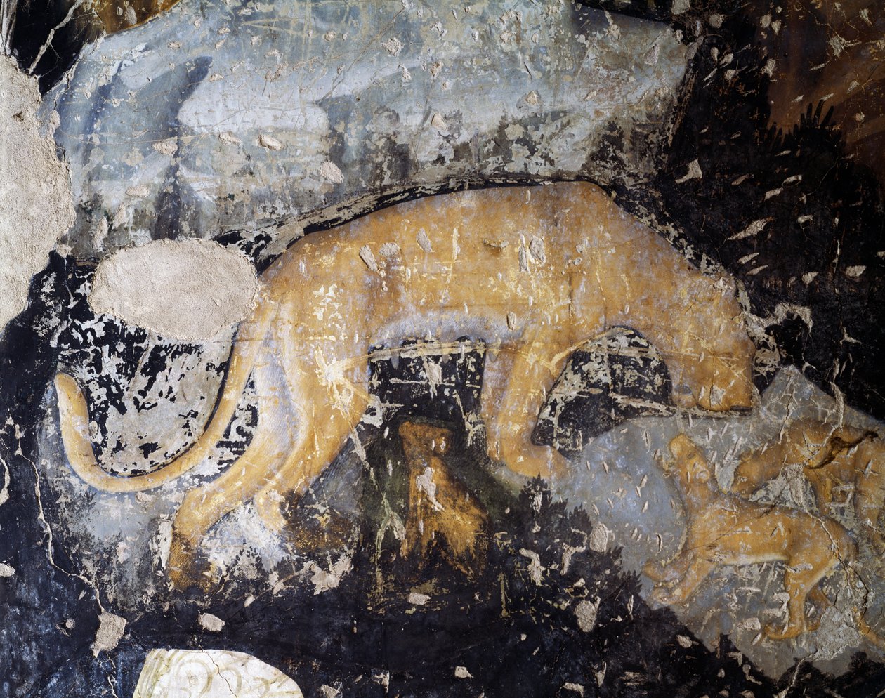 Hund, detalje (fresko) af Antonio Pisanello