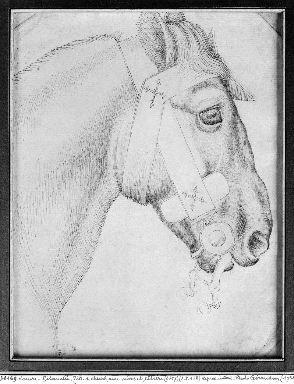 Hoved af en hest, fra The Vallardi Album (pen og blæk på papir) (bw foto) af Antonio Pisanello