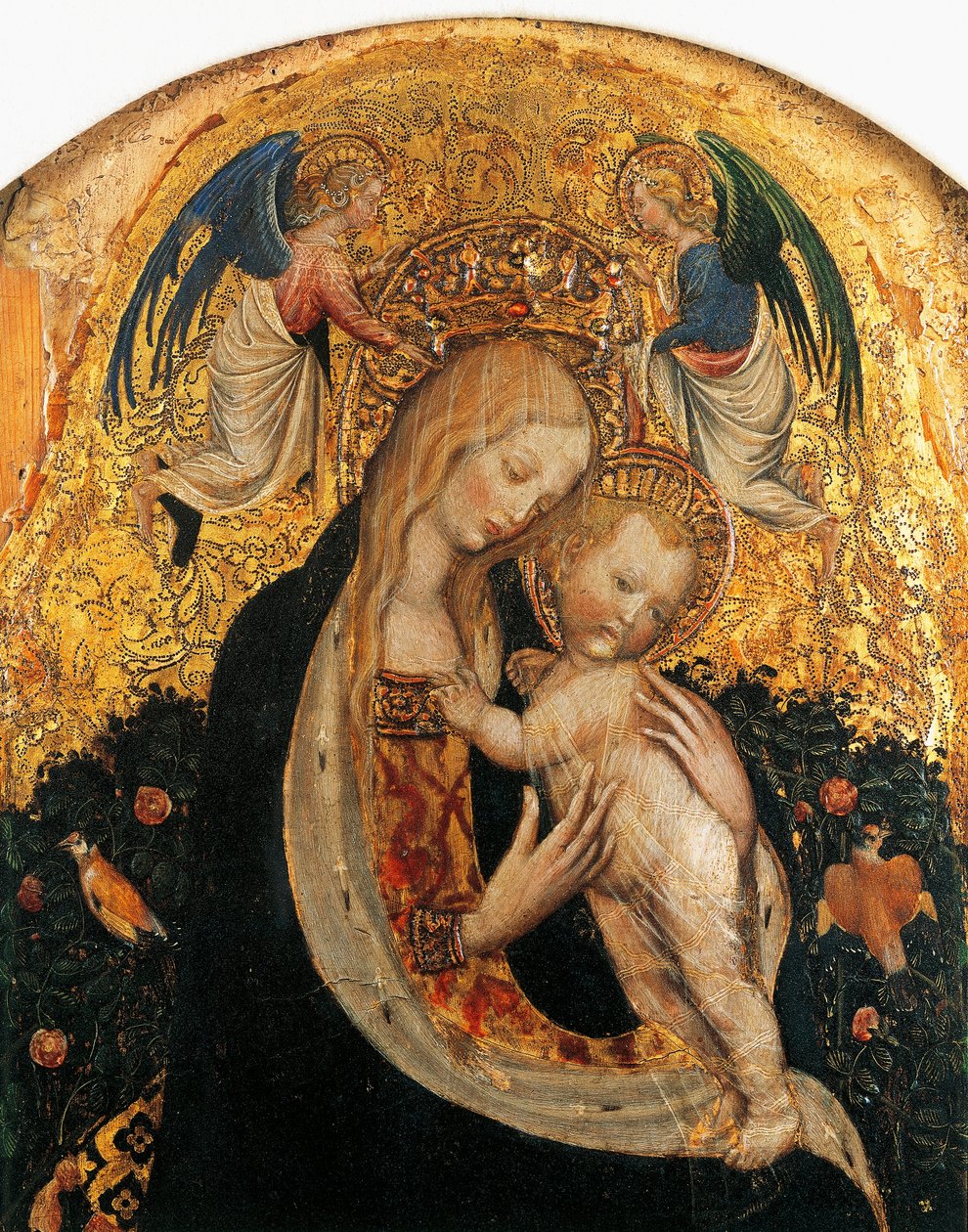 Madonna af vagtler af Antonio Pisanello (1395-1455), detalje af Antonio Pisanello