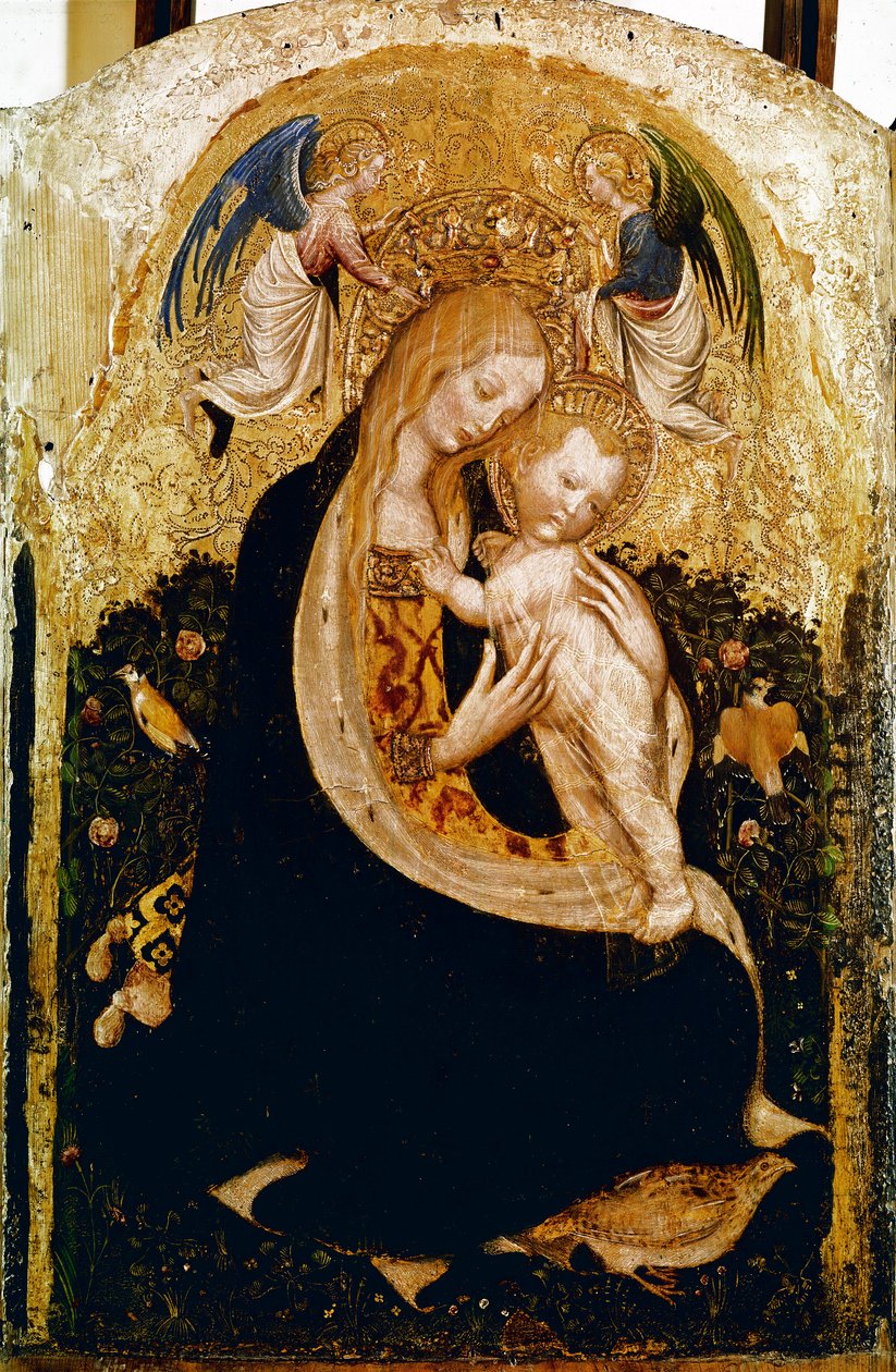 Madonnaen har vagtler Detrempe på træ af Pisanello (Antonio Pisano) (ca. 1380-1455). 1420 ca. Dim.50x33 cm Verone, Castevecchio Museum - Madonna med en vagtel, af Antonio Pisano a.k.a Pisanello (1380-c.1455)., Tempera på træ, 50x33 cm af Antonio Pisanello