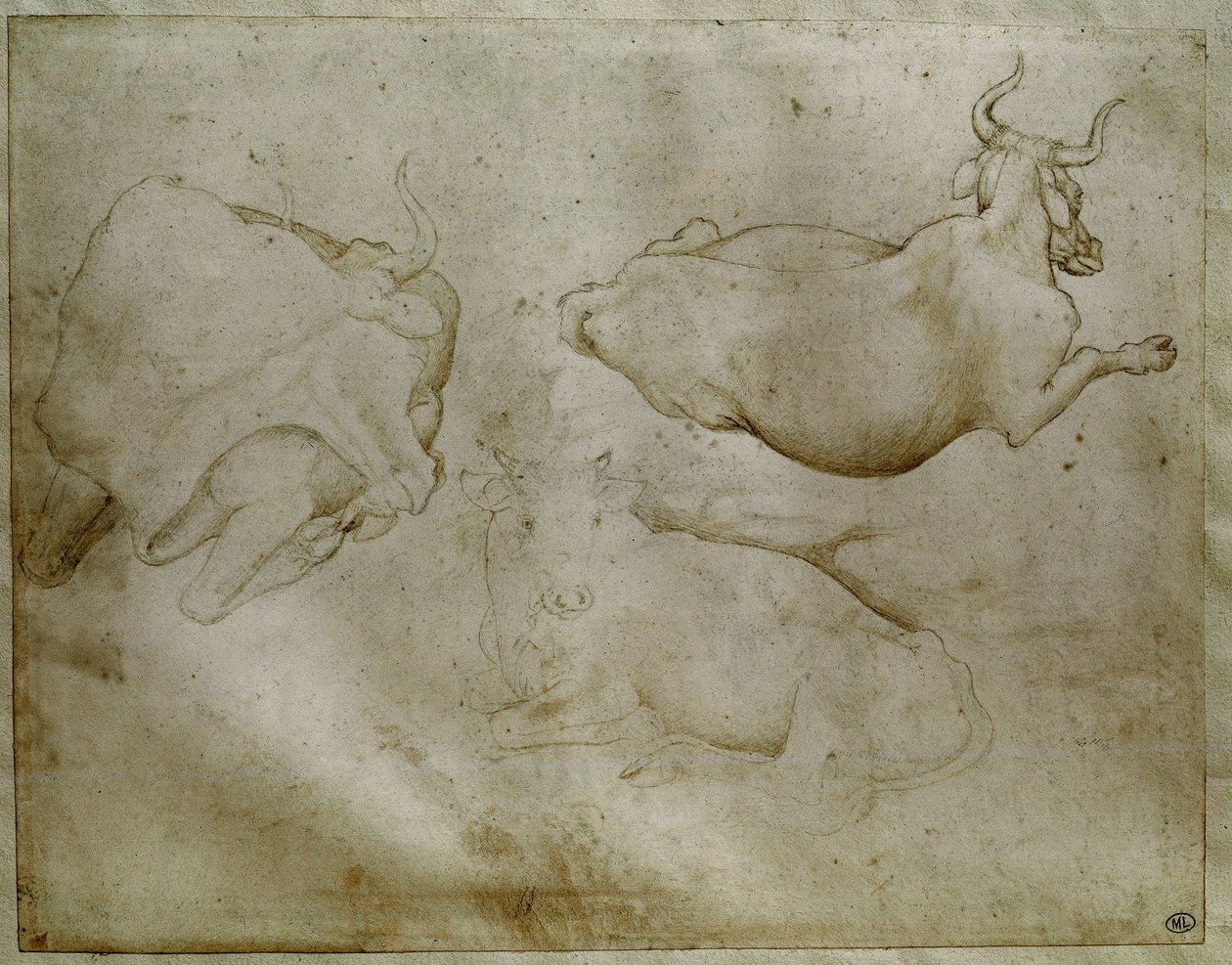 To køer og en enebær. Tegning af Antonio di Puccio Pisano dit Pisanello (1395-1455). Scroll, metalspids. Højde: 17,6 cm. Louvre, Cabinet des medailles af Antonio Pisanello