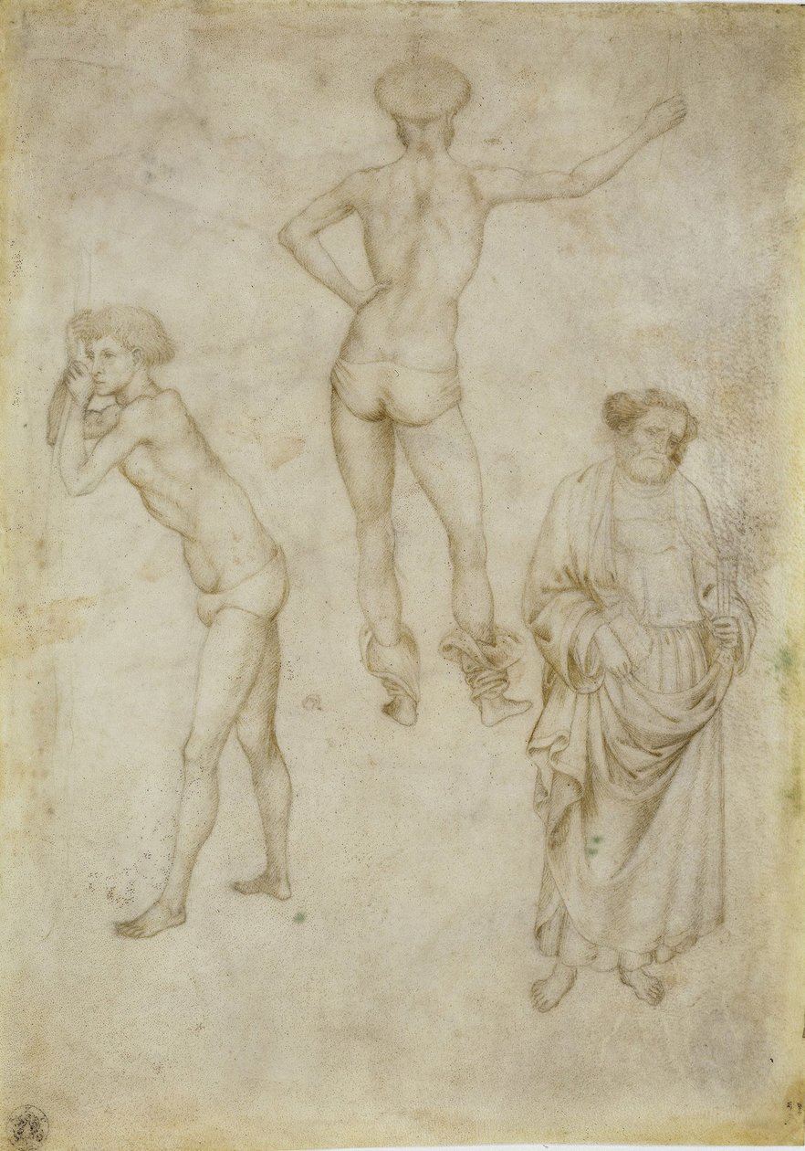 To mandlige figurstudier og Sankt Peter, 1430-1435 af Antonio Pisanello