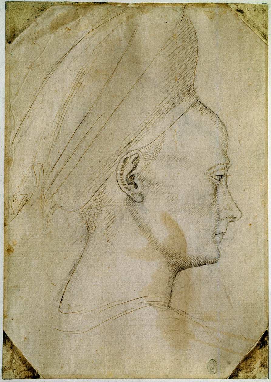 Ung kvindes hoved, i profil til højre. Tegning af Antonio di Puccio Pisano dit Pisanellos værksted (1395-1455). Brun blæk, sort sten, fjer. Mål: 24,6x17,2 cm. Louvre, Cabinet dessins. af Antonio Pisanello