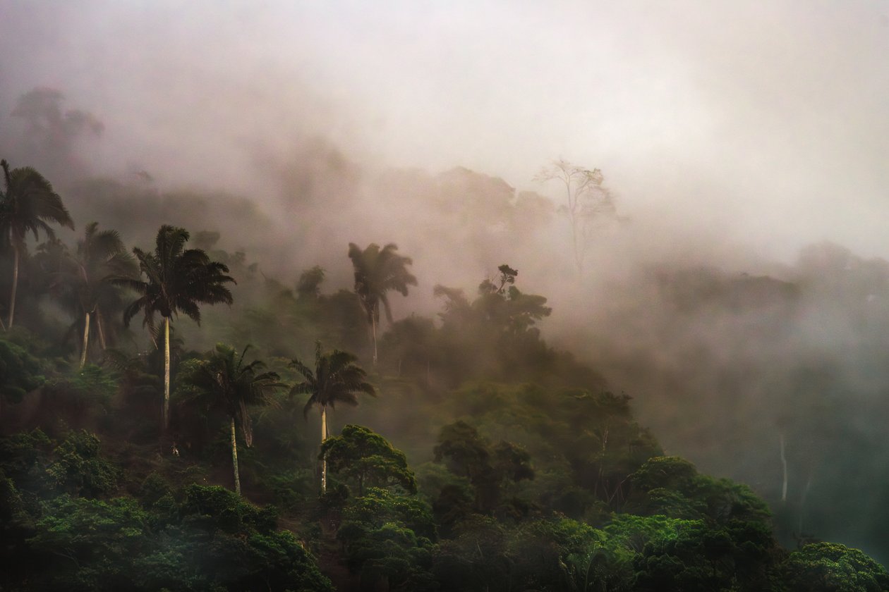 Corcovado XIX, 2020 (digitalt foto) af Antonio Schubert