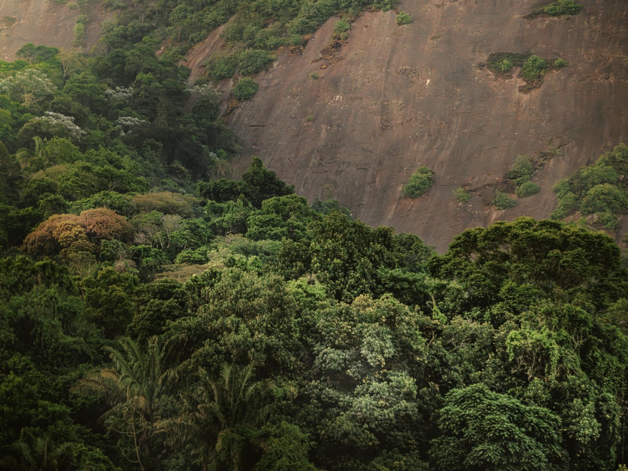 Corcovado XV, 2020 (digitalt fotografi) af Antonio Schubert