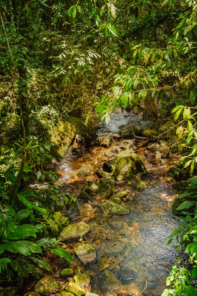 Mantiqueira Ridge, 2021 (foto) af Antonio Schubert
