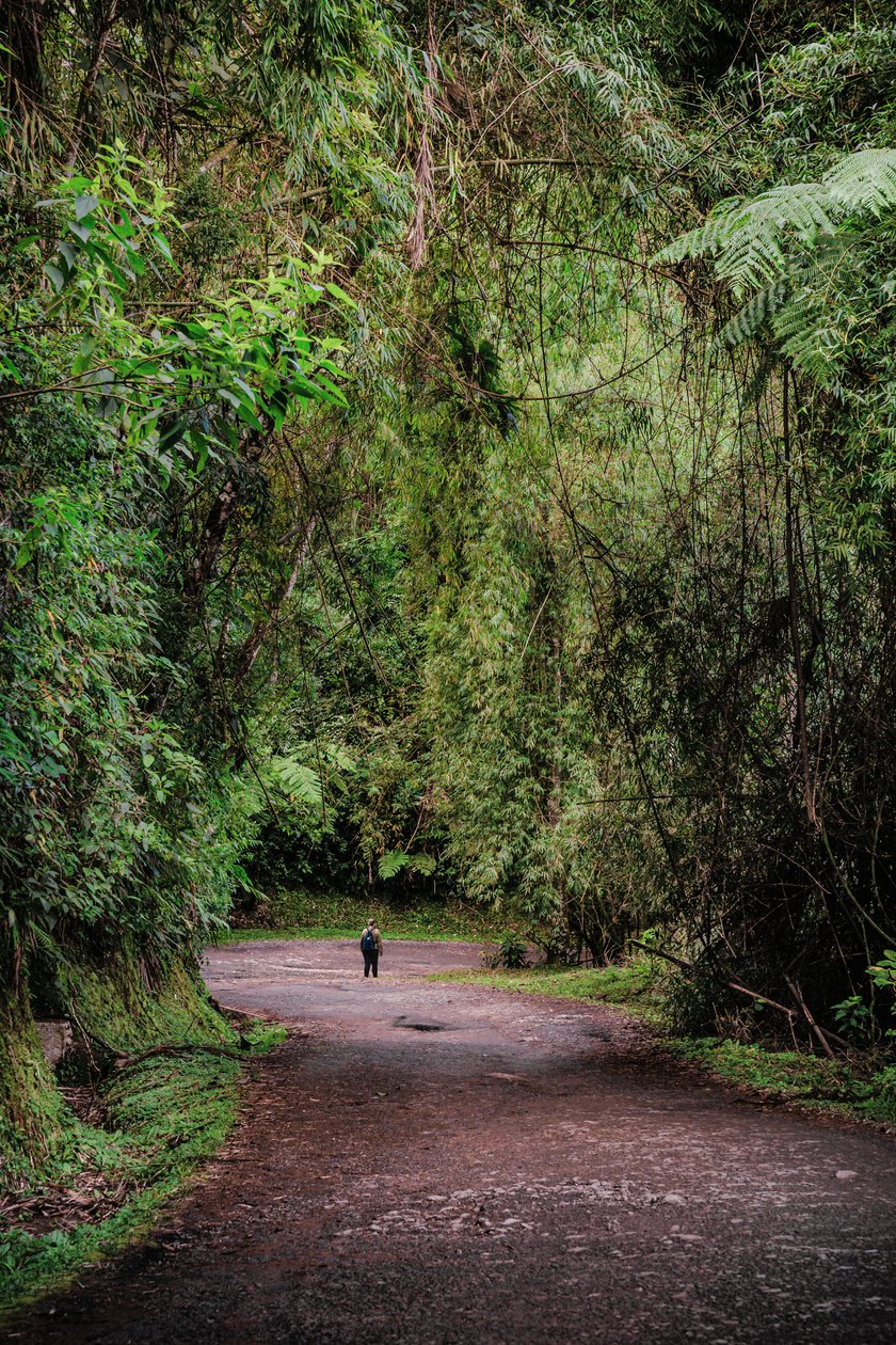 Mantiqueira XLIII, 2015 (digitalt fotografi) af Antonio Schubert
