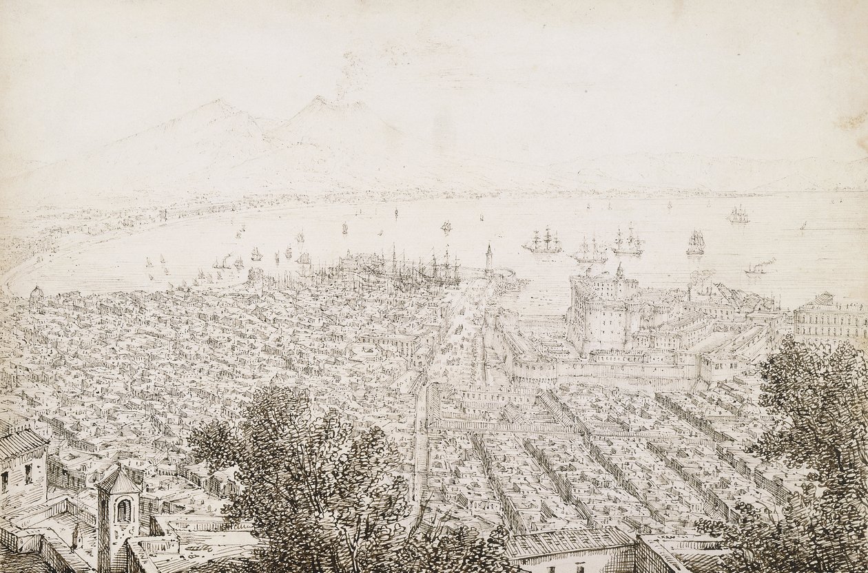 En panoramaudsigt over Napoli af Antonio Senape