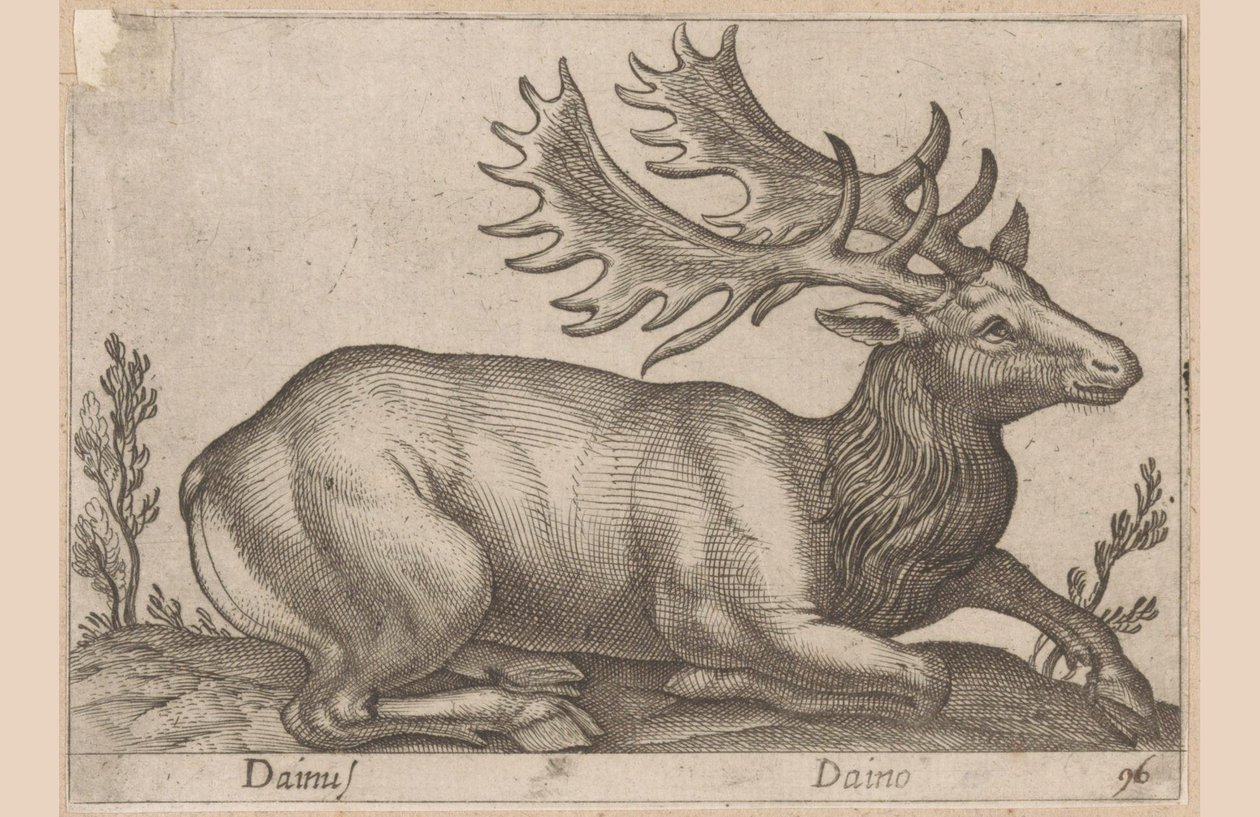 Damhert Dainus / Daino (titel på objekt) Dieren en fabelwezens (serietitel) Nova samling af de mest nysgerrige dyr i verden (serietitel) af Antonio Tempesta