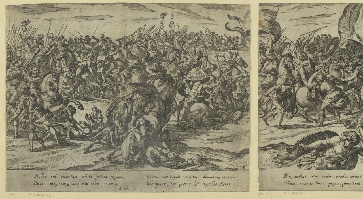 Camillus