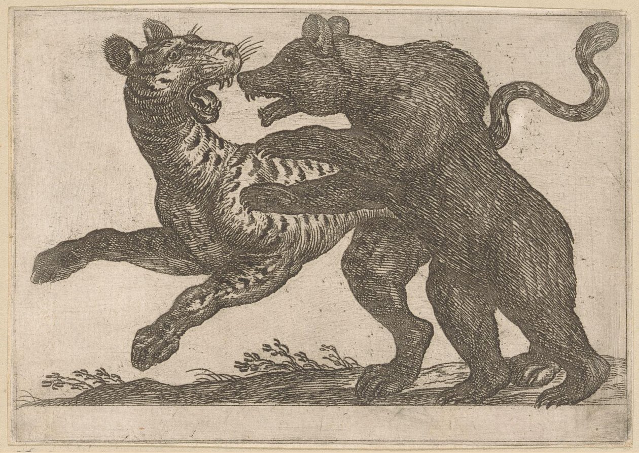 En bjørn, der kæmper mod en tiger Kampdyr (serietitel) af Antonio Tempesta