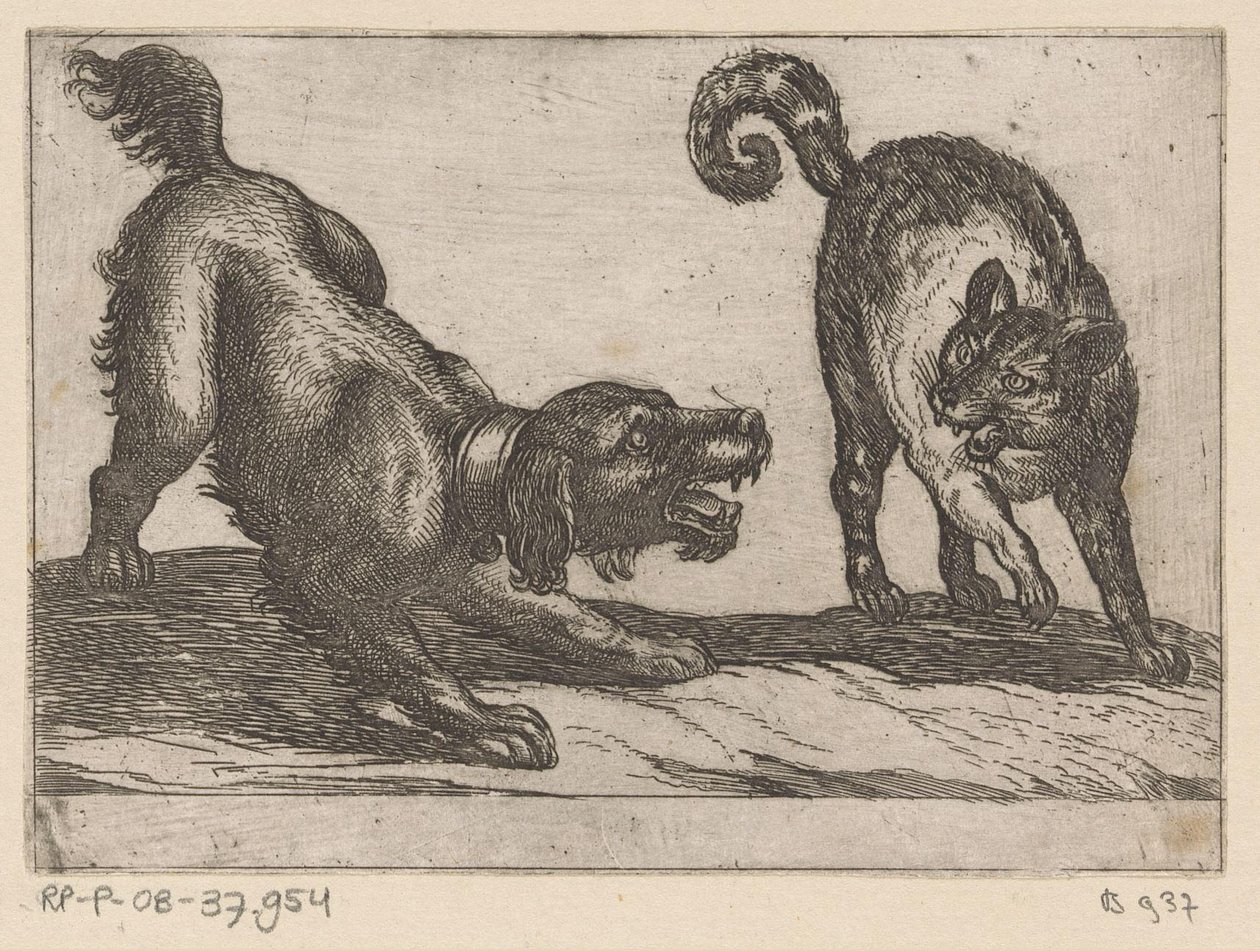En hund, der kæmper mod en kat Kampdyr (serietitel) af Antonio Tempesta