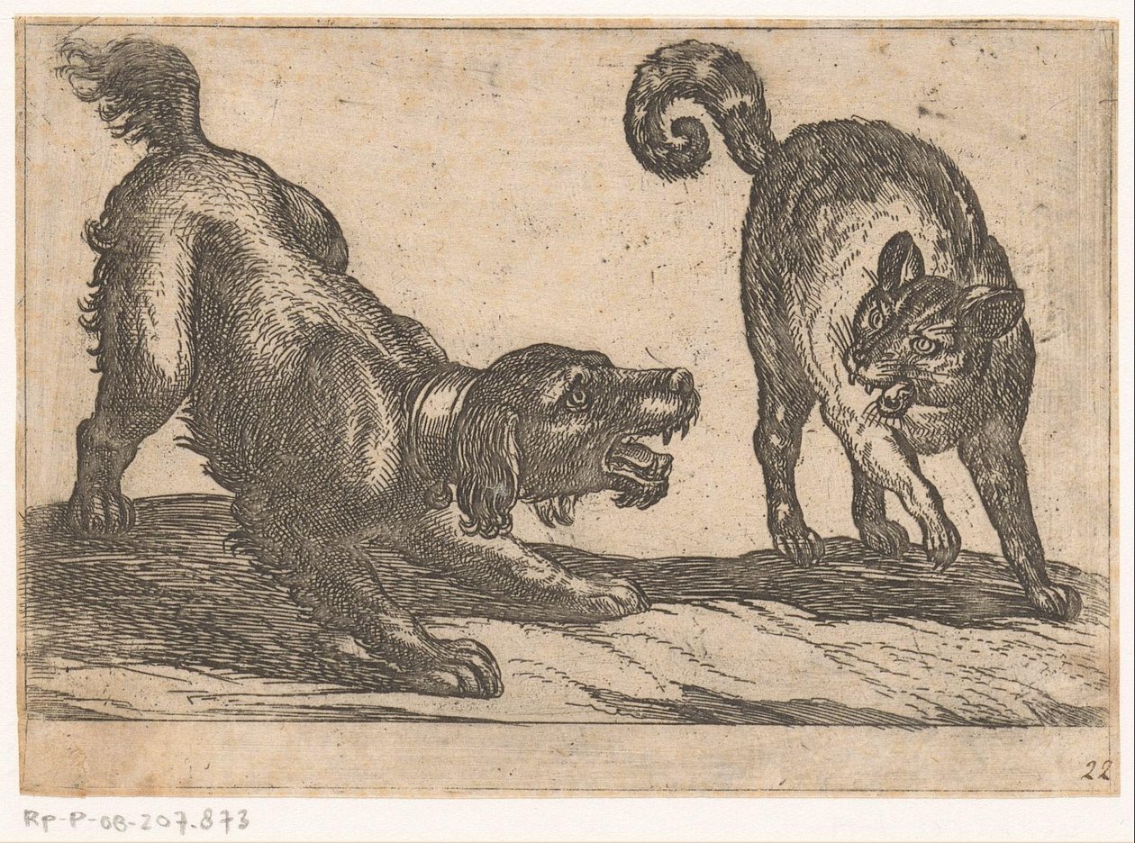 En hund, der kæmper mod en kat Kampdyr (serietitel) af Antonio Tempesta