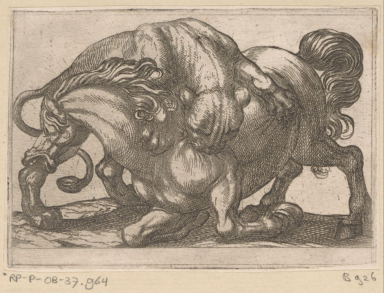 En løvinde angriber en hest Kampdyr (serietitel) af Antonio Tempesta