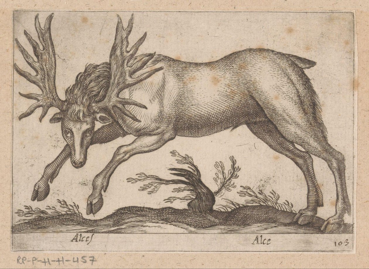 Eland Moose/ Moose (titel på objekt) Dieren en fablewezens (serietitel) Ny samling af verdens mest nysgerrige dyr (serietitel) af Antonio Tempesta