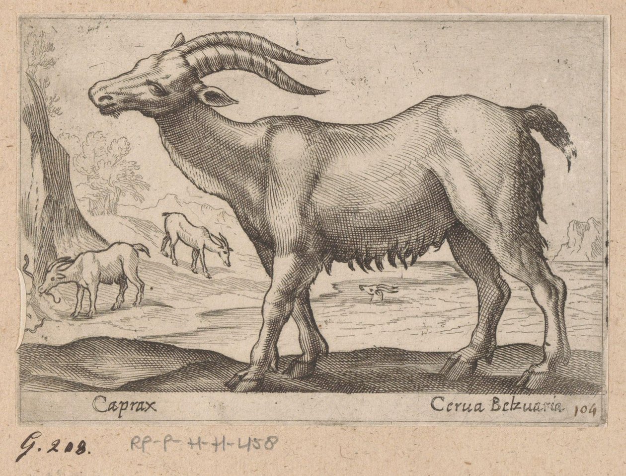 Ædelstene Caprax/ Cerua Belzuaria (titel på objekt) Dieren en fablewezens (serietitel) Ny samling af verdens mest nysgerrige dyr (serietitel) af Antonio Tempesta