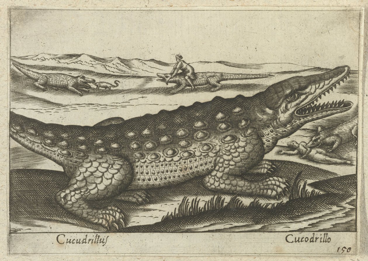 Krokodille Coccodrillus/ Krokodille (titel på objekt) Dieren en fablewezens (serietitel) Ny samling af verdens mest nysgerrige dyr (serietitel) af Antonio Tempesta