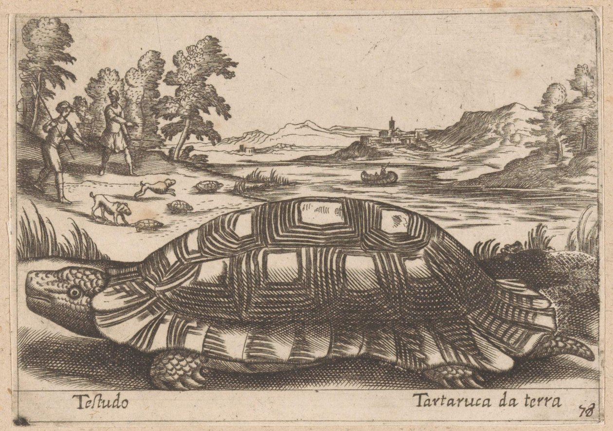Landschildpad Testudo / Jordskildpadde (titel på objekt) Dieren en fabelwezens (serietitel) Nova samling af de mest nysgerrige dyr i verden (serietitel) af Antonio Tempesta