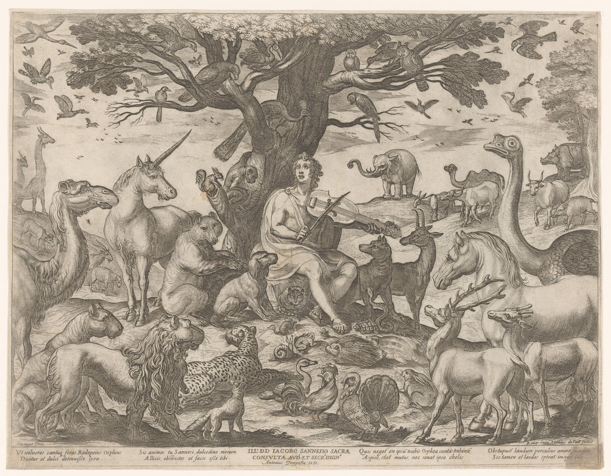 Orpheus fortryller dyrene med sin musik af Antonio Tempesta