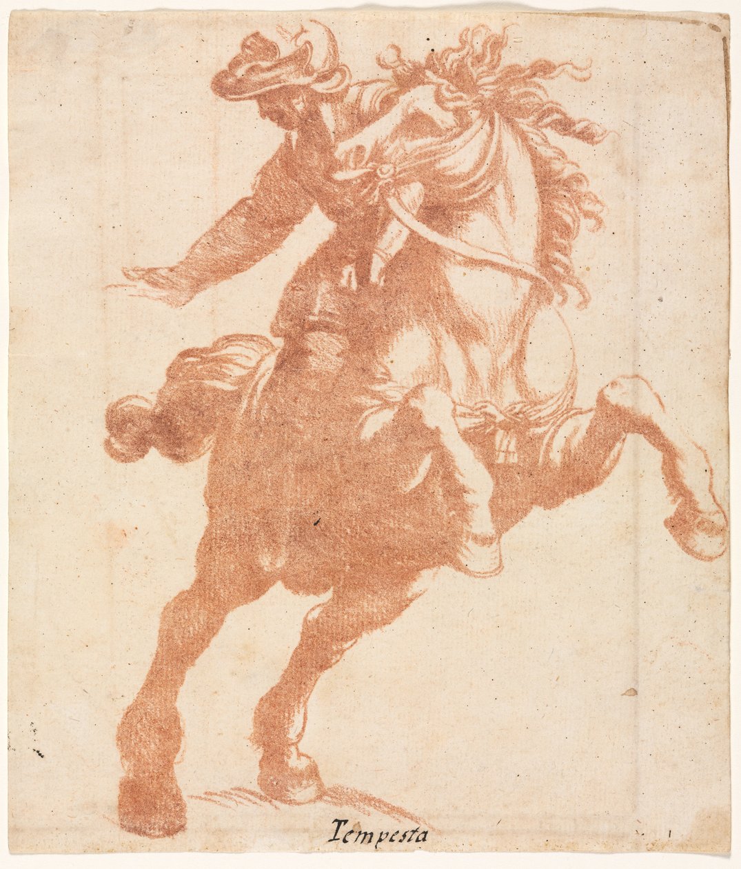 Steigendes Pferd und Reiter af Antonio Tempesta