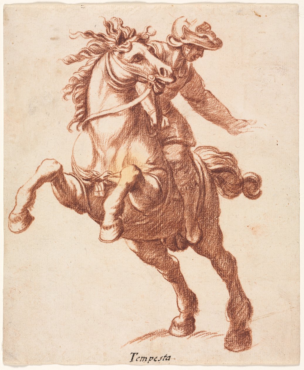 Steigendes Pferd und Reiter af Antonio Tempesta