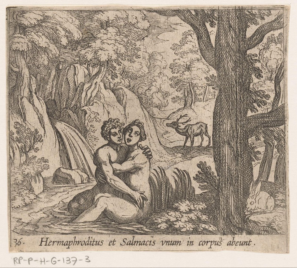 Salmacis og Hermafroditus Hermaphroditus og Salmacius forlader som én krop (titel på objekt) Metamorfoseon eller transformationer (serietitel) Metamorfosen van Ovidius (serietitel) af Antonio Tempesta