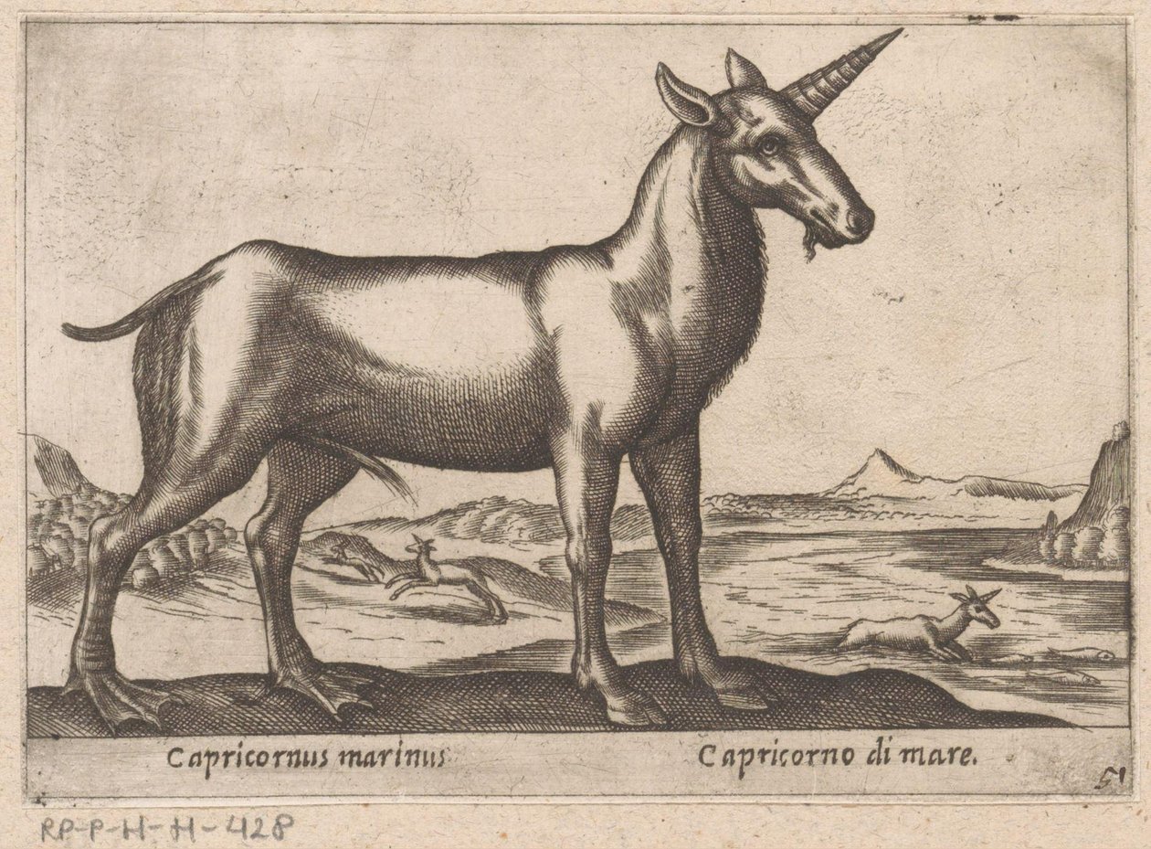 Stenbukken som havdyr Capricornus marinus/ Capricorno di mare (titel på objektet) Dyr og mytiske væsner (serietitel) Nova raccolta de li animali piu curiosi del mondo (serietitel) af Antonio Tempesta