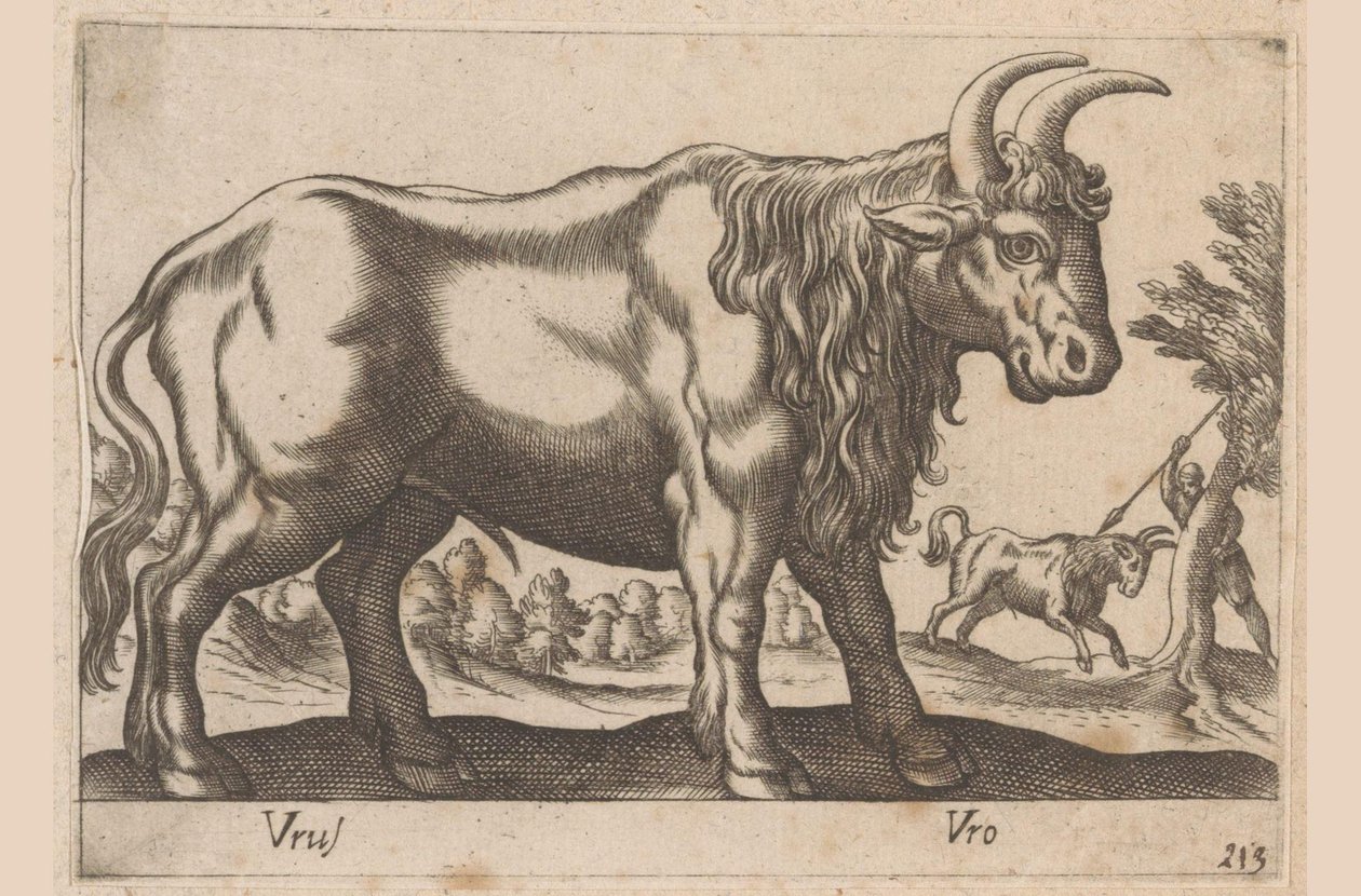 Tyr Vrus/ Vro (titel på objekt) Dieren en fablewezens (serietitel) Ny samling af verdens mest nysgerrige dyr (serietitel) af Antonio Tempesta