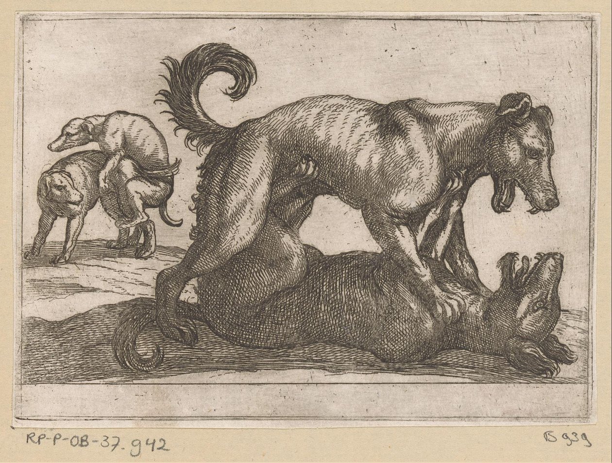 To parrings- og to kamphunde Kampdyr (serietitel) af Antonio Tempesta