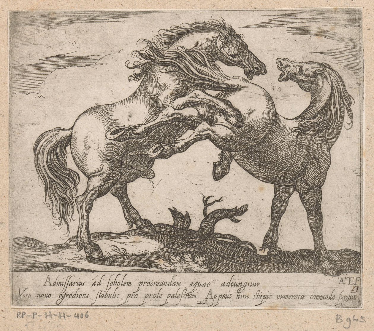 Twee parende paarden Paarden uit verschiedelden landen (serietitel) Med disse ledere vil du blive fejret som en leder med en viroru-mund. af Antonio Tempesta