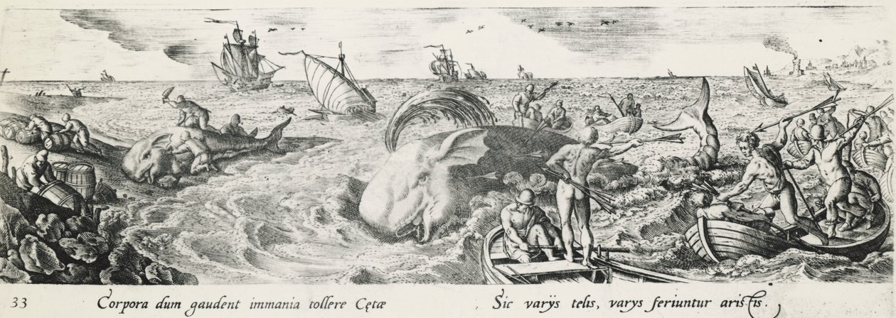Hvaljagt, af Antonio Tempesta (1555-1630), gravering, Italien af Antonio Tempesta