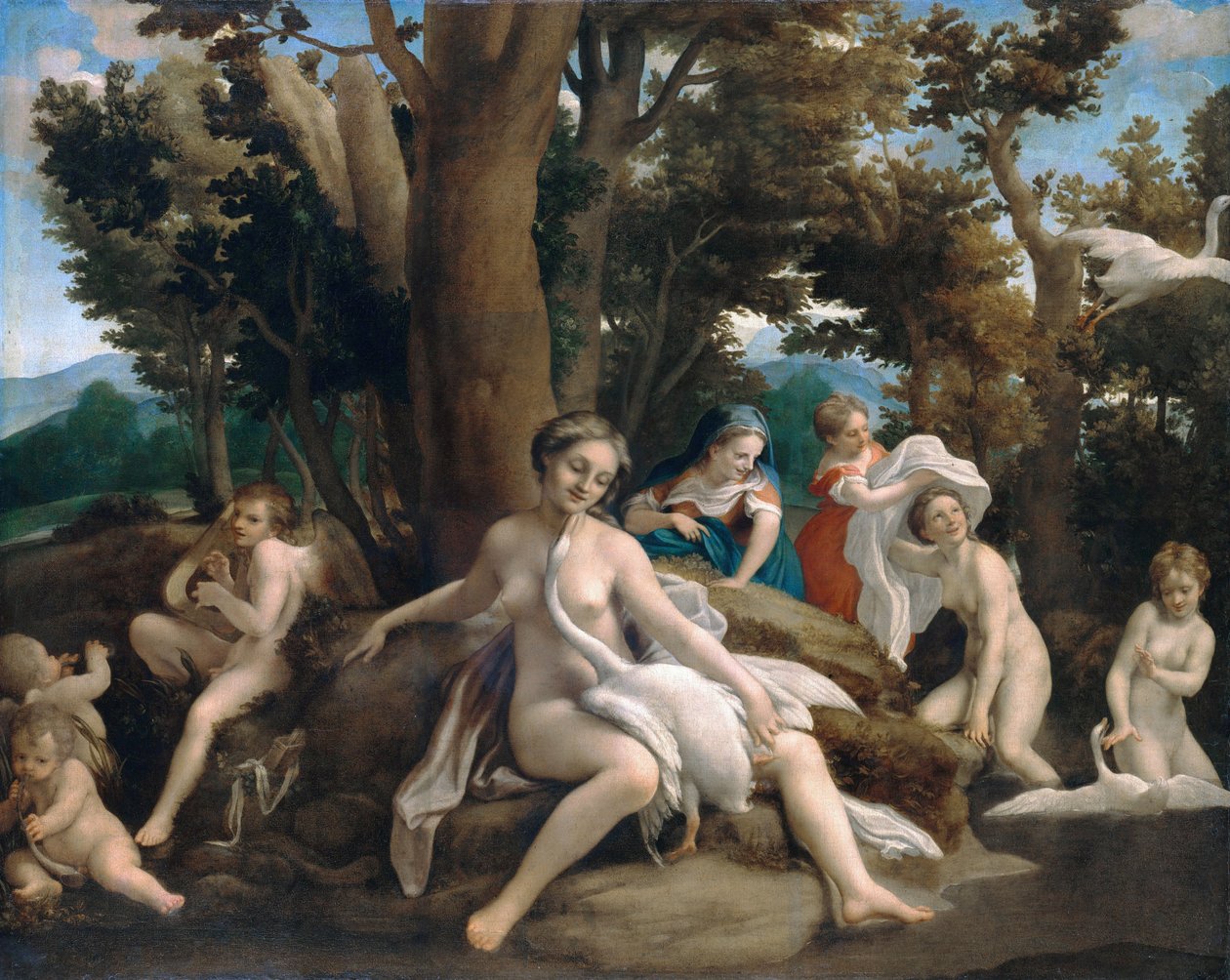 Leda og svanen af Antonio da Correggio