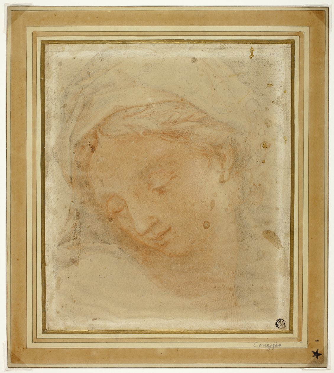 Kvindens hoved af Antonio da Correggio