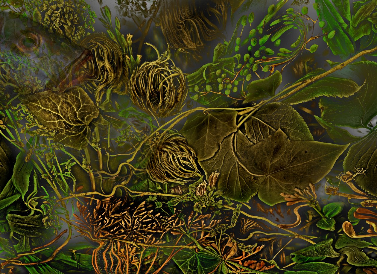  af Antonius Antonius