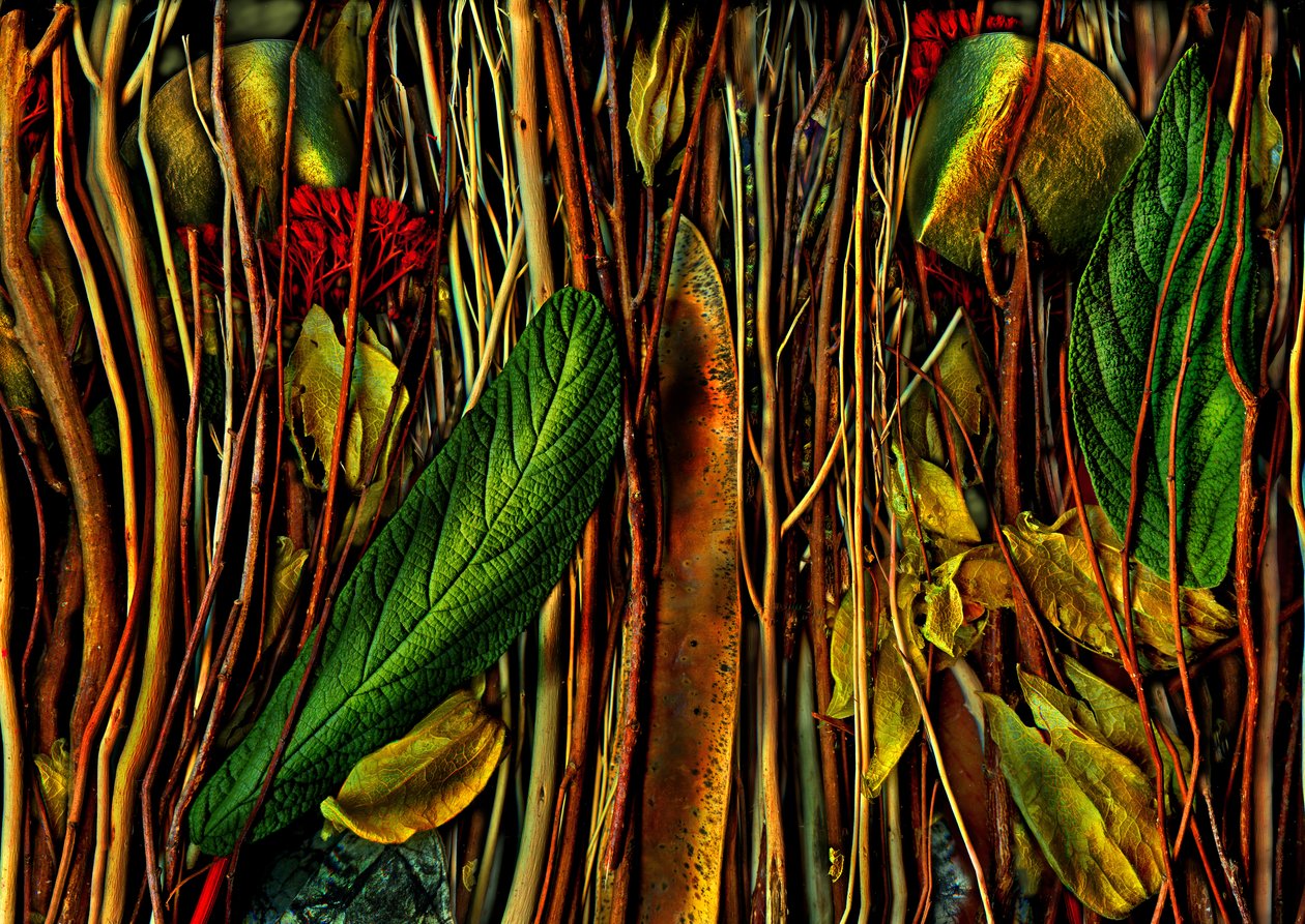  af Antonius Antonius