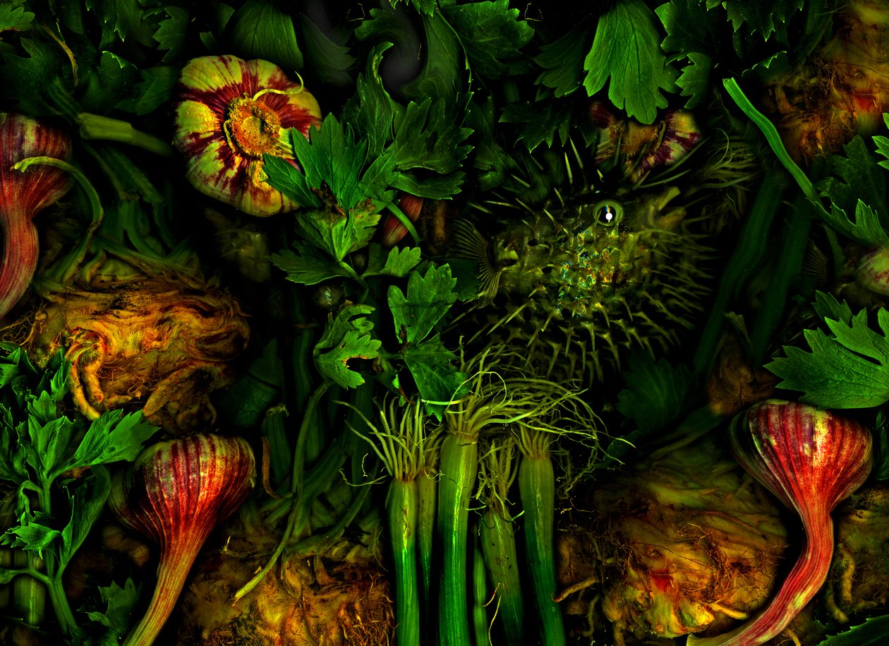  af Antonius Antonius