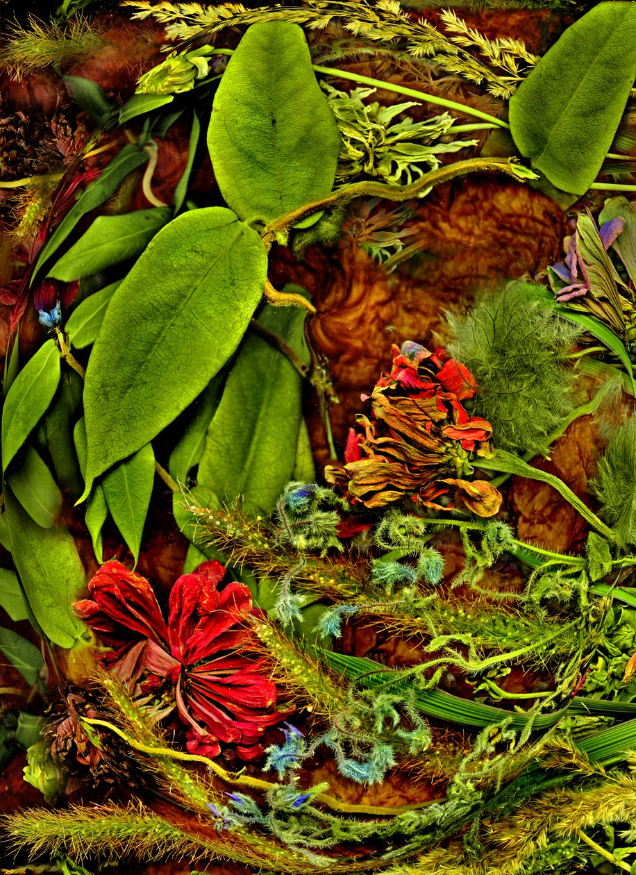  af Antonius Antonius