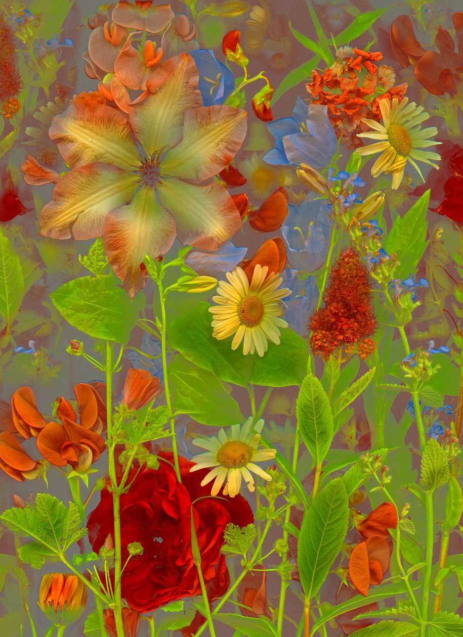  af Antonius Antonius