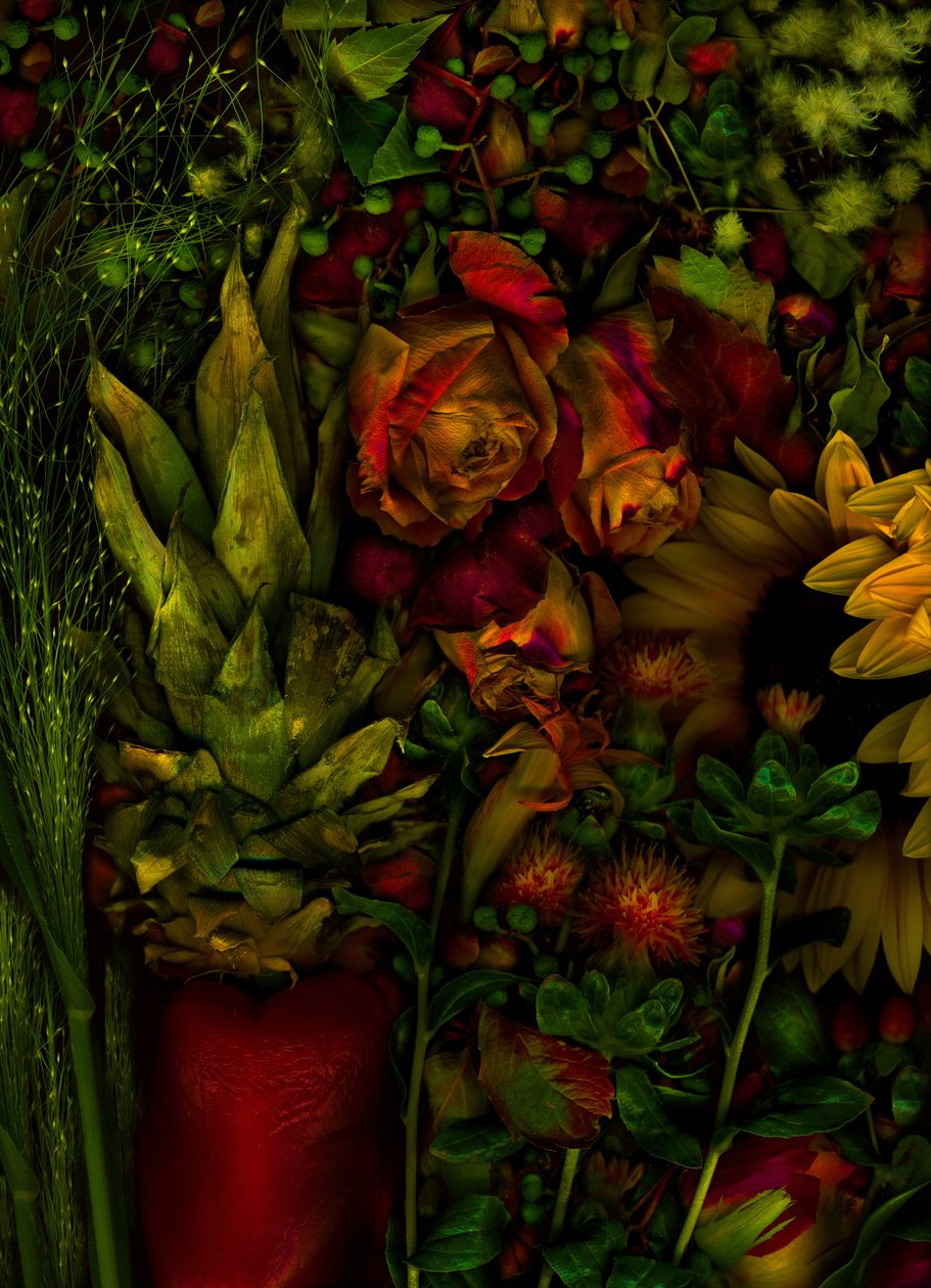  af Antonius Antonius