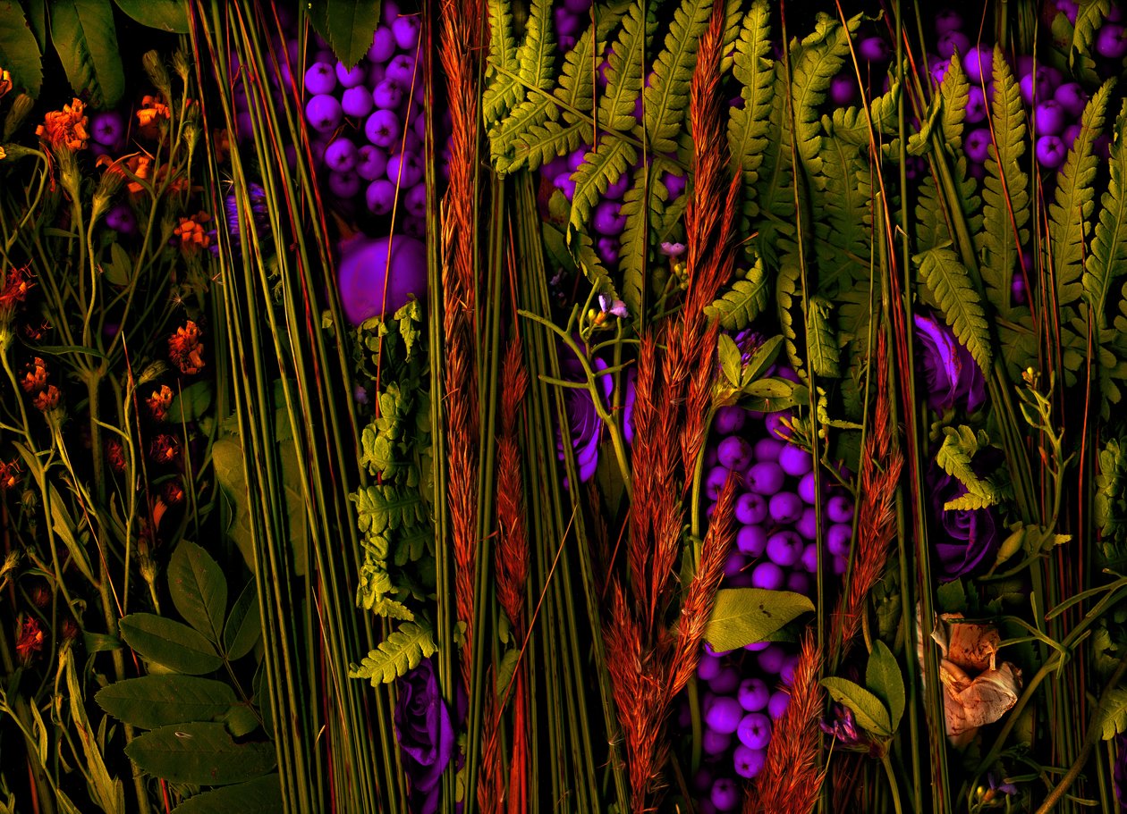  af Antonius Antonius