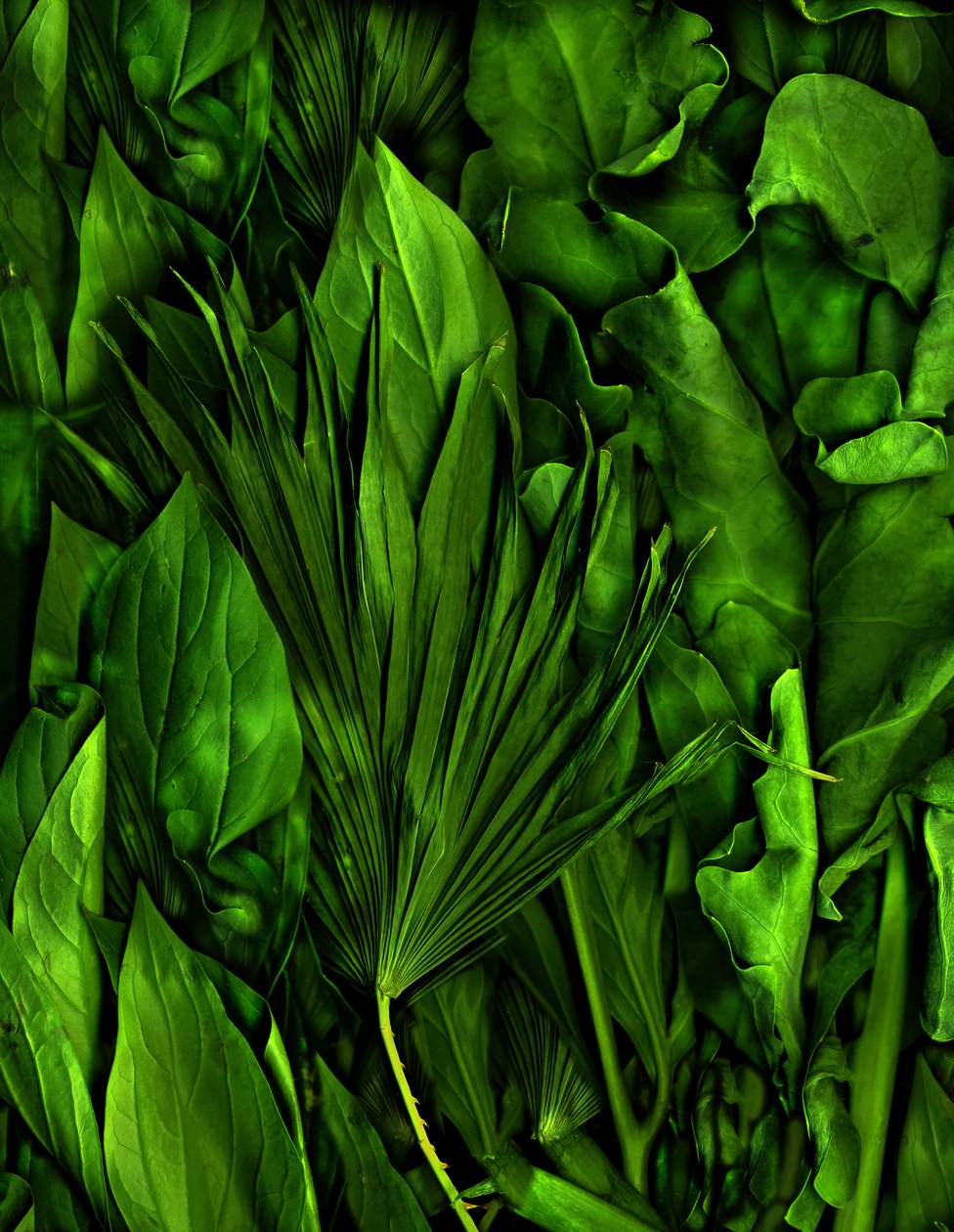  af Antonius Antonius