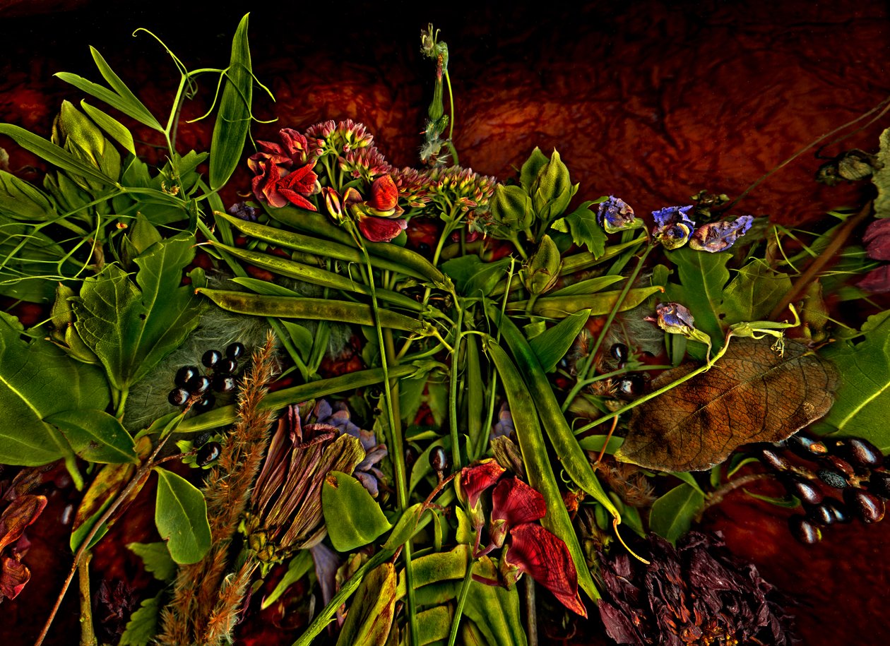  af Antonius Antonius