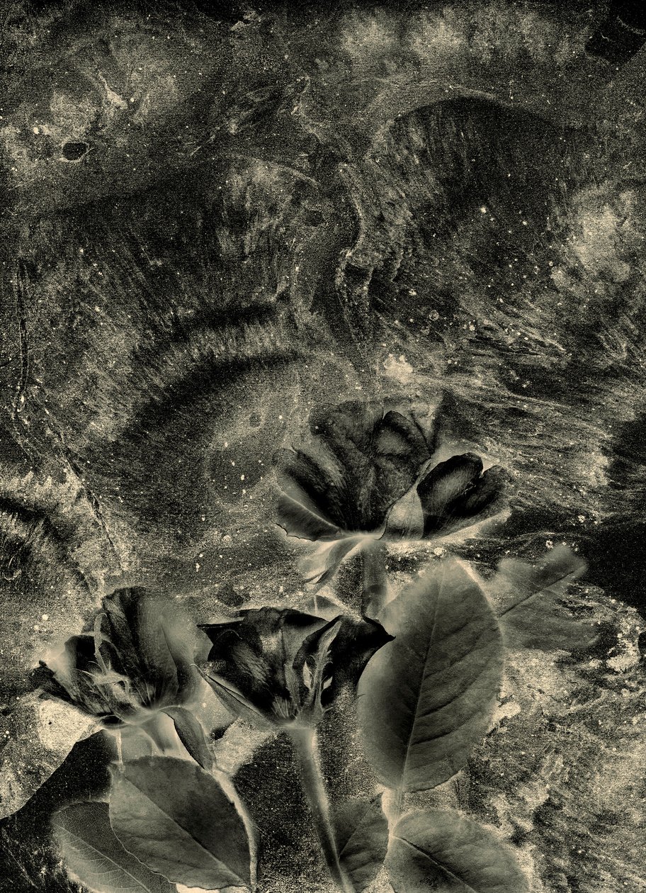  af Antonius Antonius