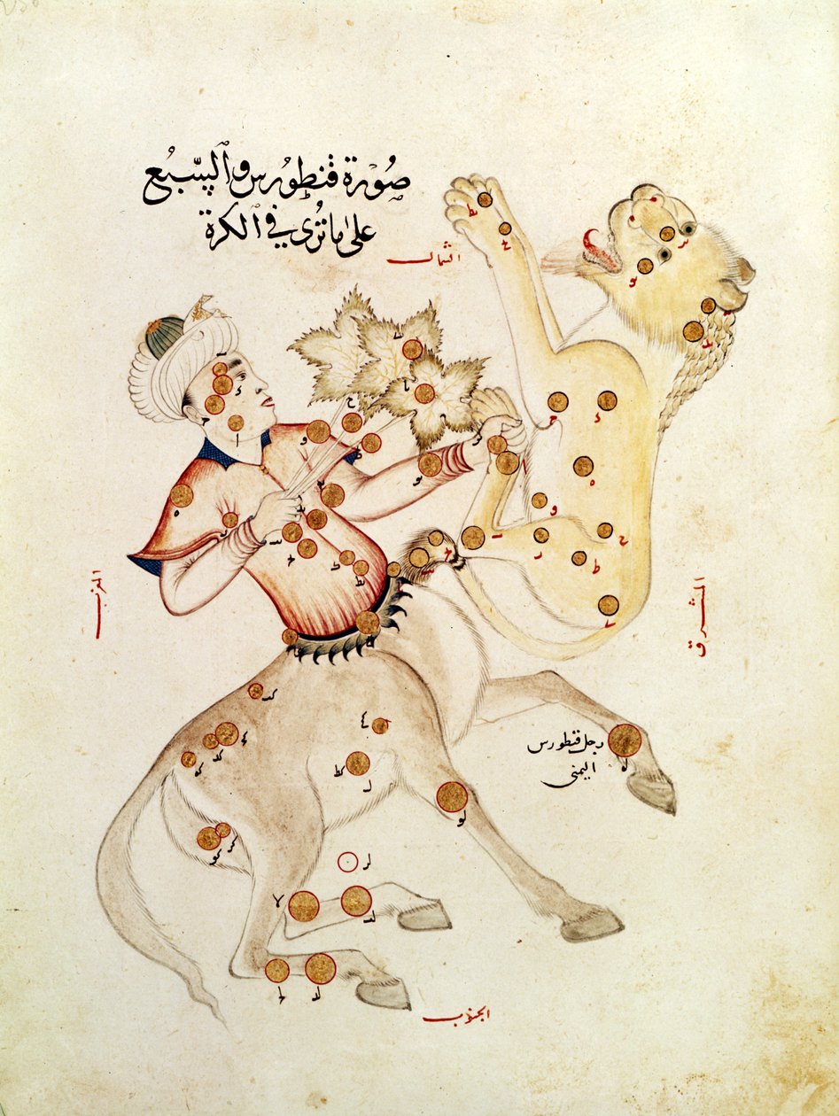Ms 5036 fol.238 The constellations of Centaurus and Leo, fra Treatise on the Fixed Stars af Abd-al-Rahman Al Sufi (903-986) af Arabic School