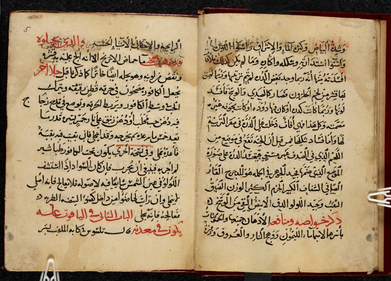 Sider fra et manuskript, kopieret i 799 AH/AD 1397, af Ahmad bin Yusuf Al-Tifashis Kitab al-Ahjar eller bog om ædelstene. Eller. 1198 af Arabic School