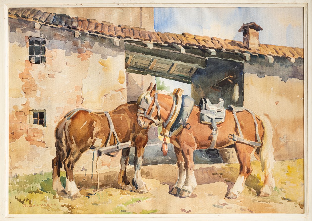 Heste (akvarel) af Arcangelo Salvarani