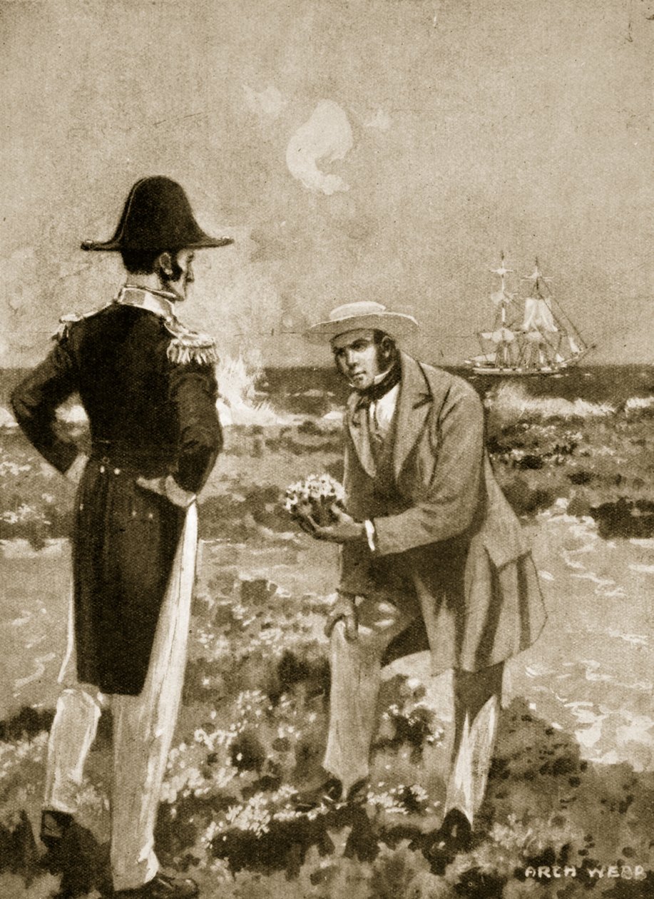 Darwin finder et interessant eksemplar af Archibald Webb