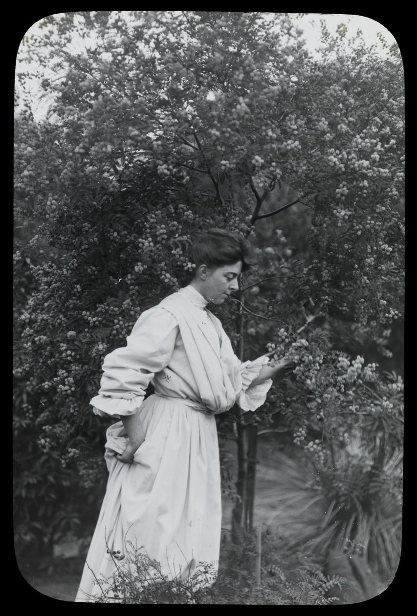 Amy Campbell med Wattle af Archibald James Campbell