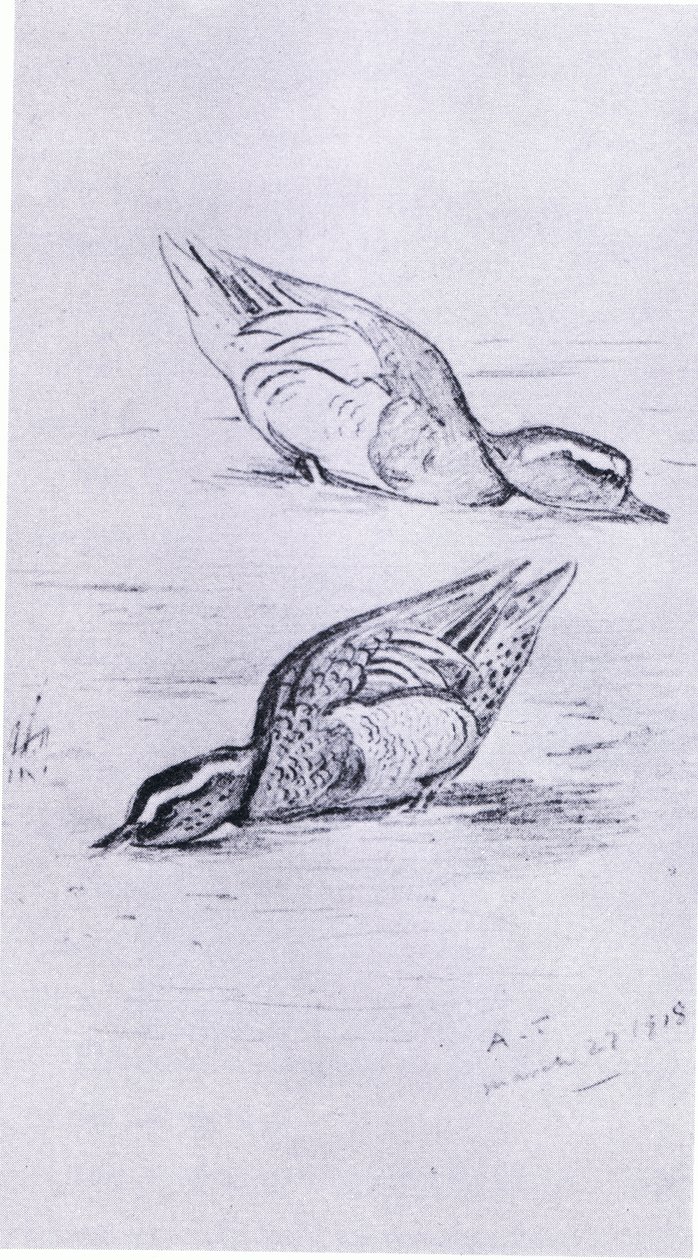 Garganey fodring, pub. af Book Club Associates, 1972 af Archibald Thorburn